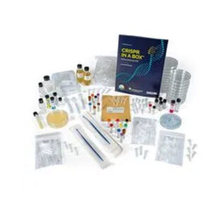 CRISPR in a Box