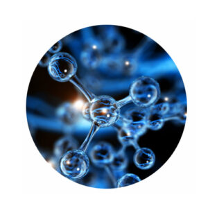 Biotechnology