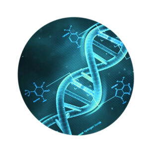 DNA